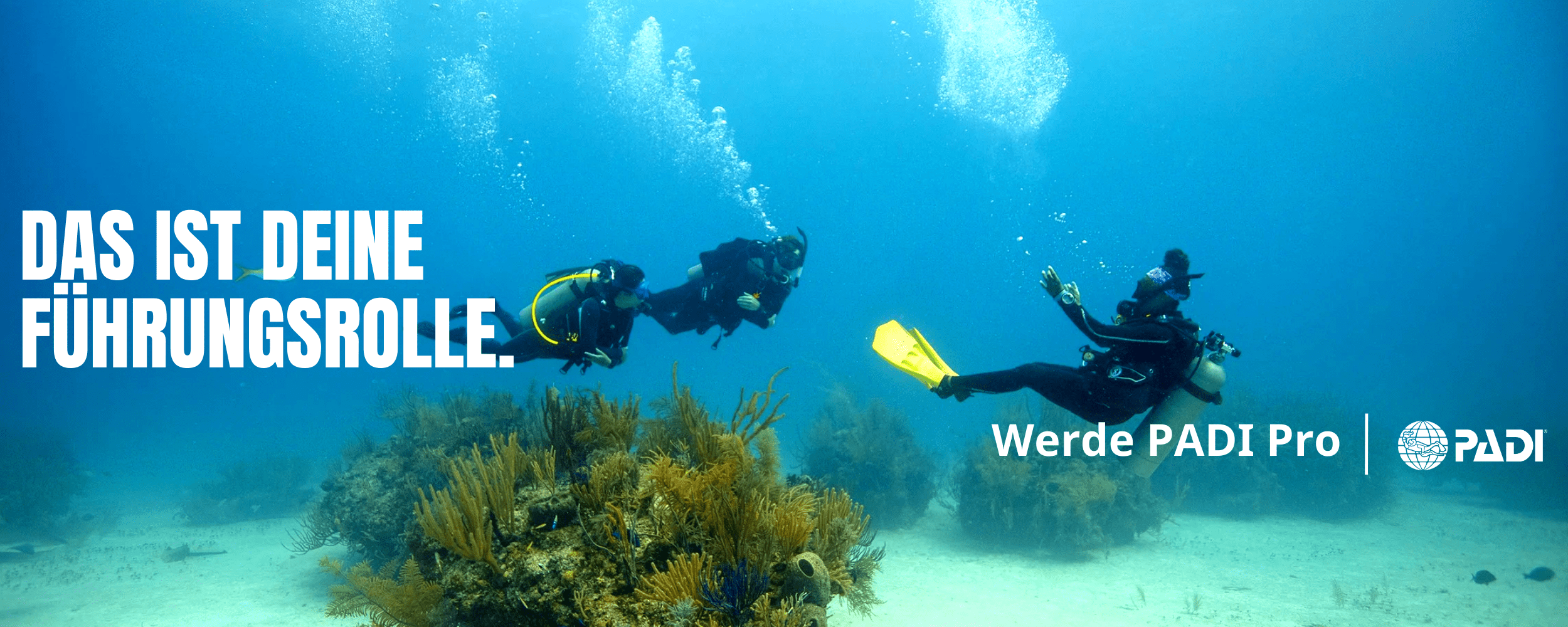 Werde Padi Pro