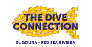 The Dive Conection